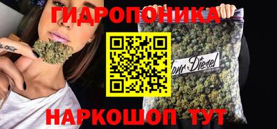 дурь Будённовск
