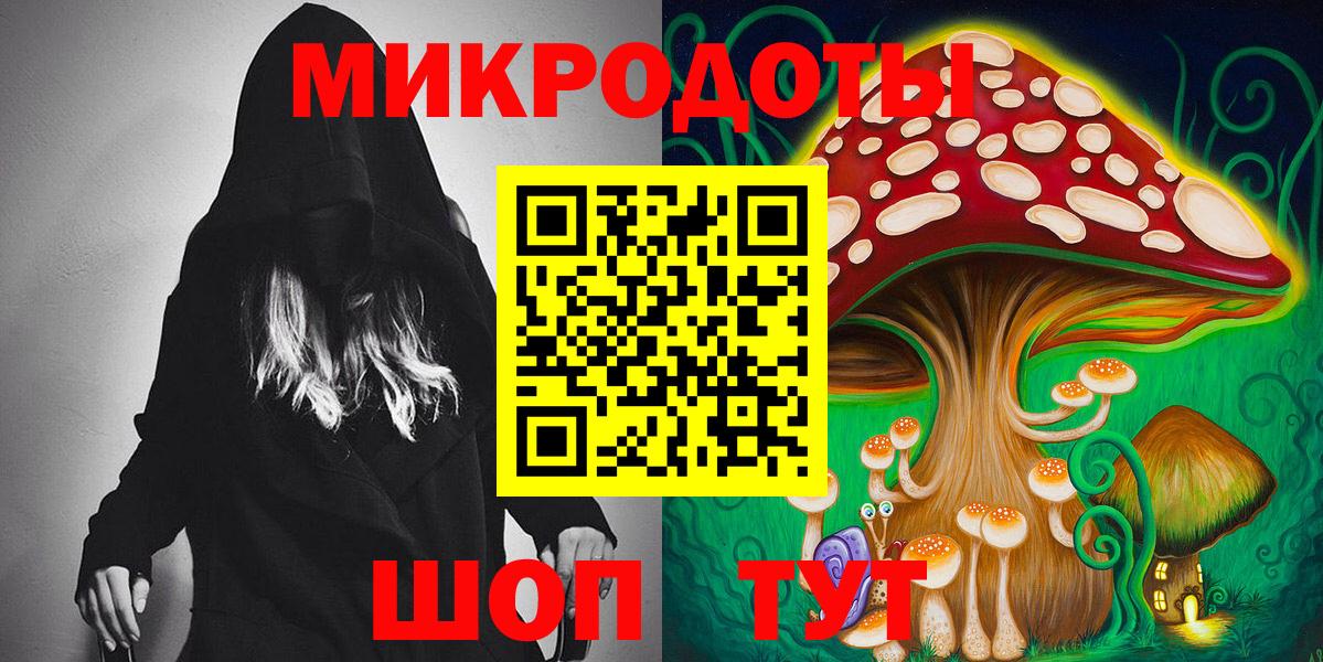 Галлюциногенные грибы Psilocybine cubensis Кузнецк
