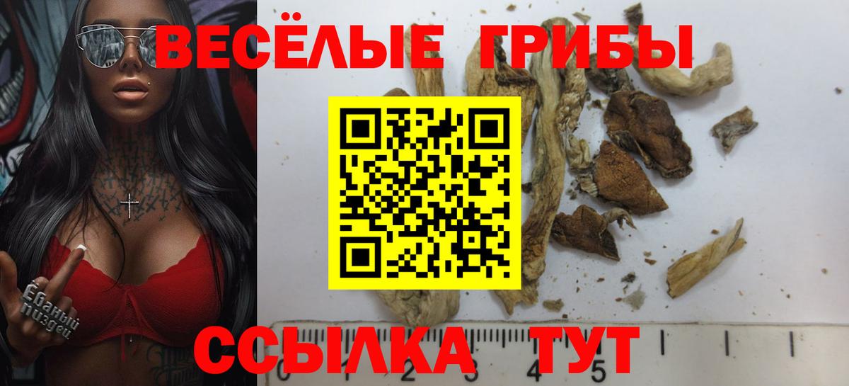 Галлюциногенные грибы мухоморы  Вход с VPN  Кузнецк  Галлюциногенные грибы прущие грибы 